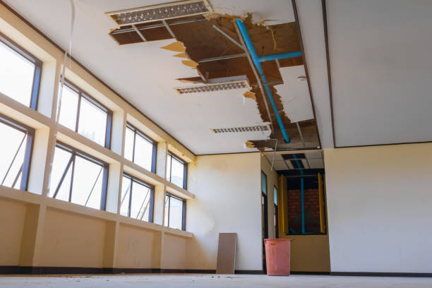 Best Flood restoration services  in Apple Creek, OH