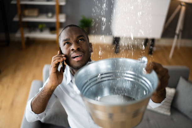 Best Basement water damage restoration  in Apple Creek, OH