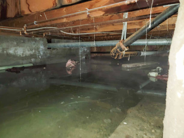 Best Emergency water damage restoration  in Apple Creek, OH
