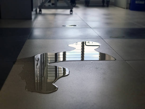 Best Water damage cleanup near me  in Apple Creek, OH