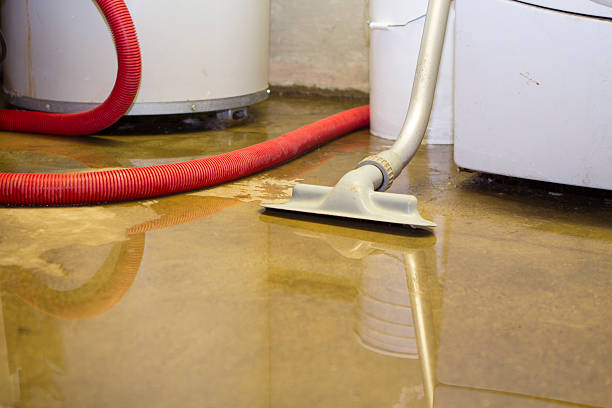  Apple Creek, OH Water damage restoration Pros